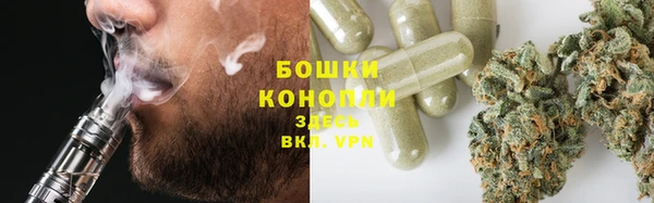 ПСИЛОЦИБИНОВЫЕ ГРИБЫ Сосновый Бор