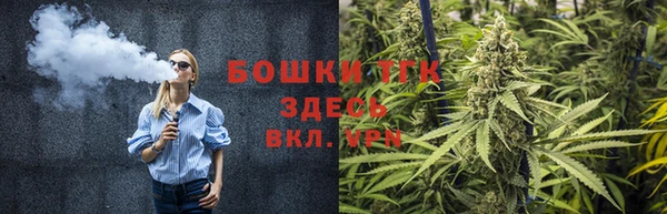 ПСИЛОЦИБИНОВЫЕ ГРИБЫ Сосновый Бор