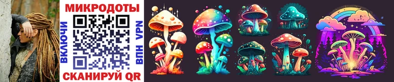 Галлюциногенные грибы Psilocybe Можайск
